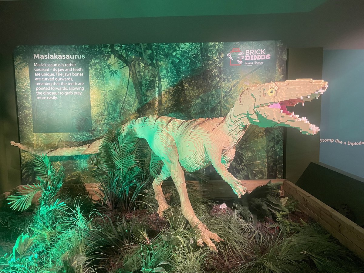 Louise Crane tweet media