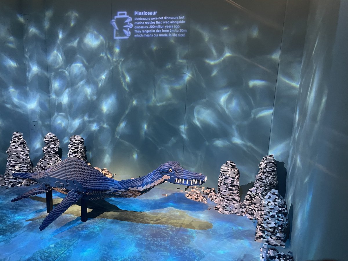 Louise Crane tweet media