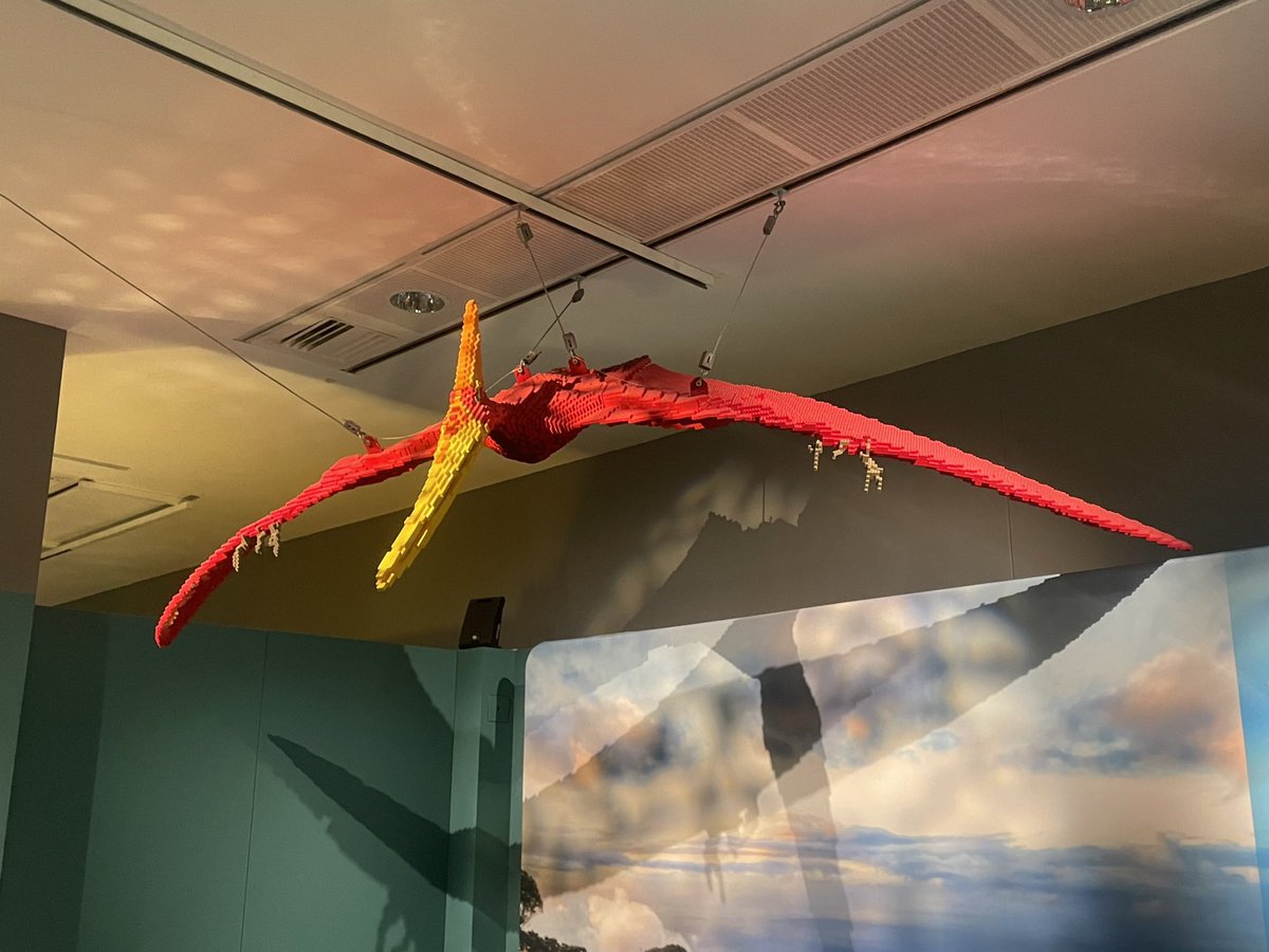 Louise Crane tweet media