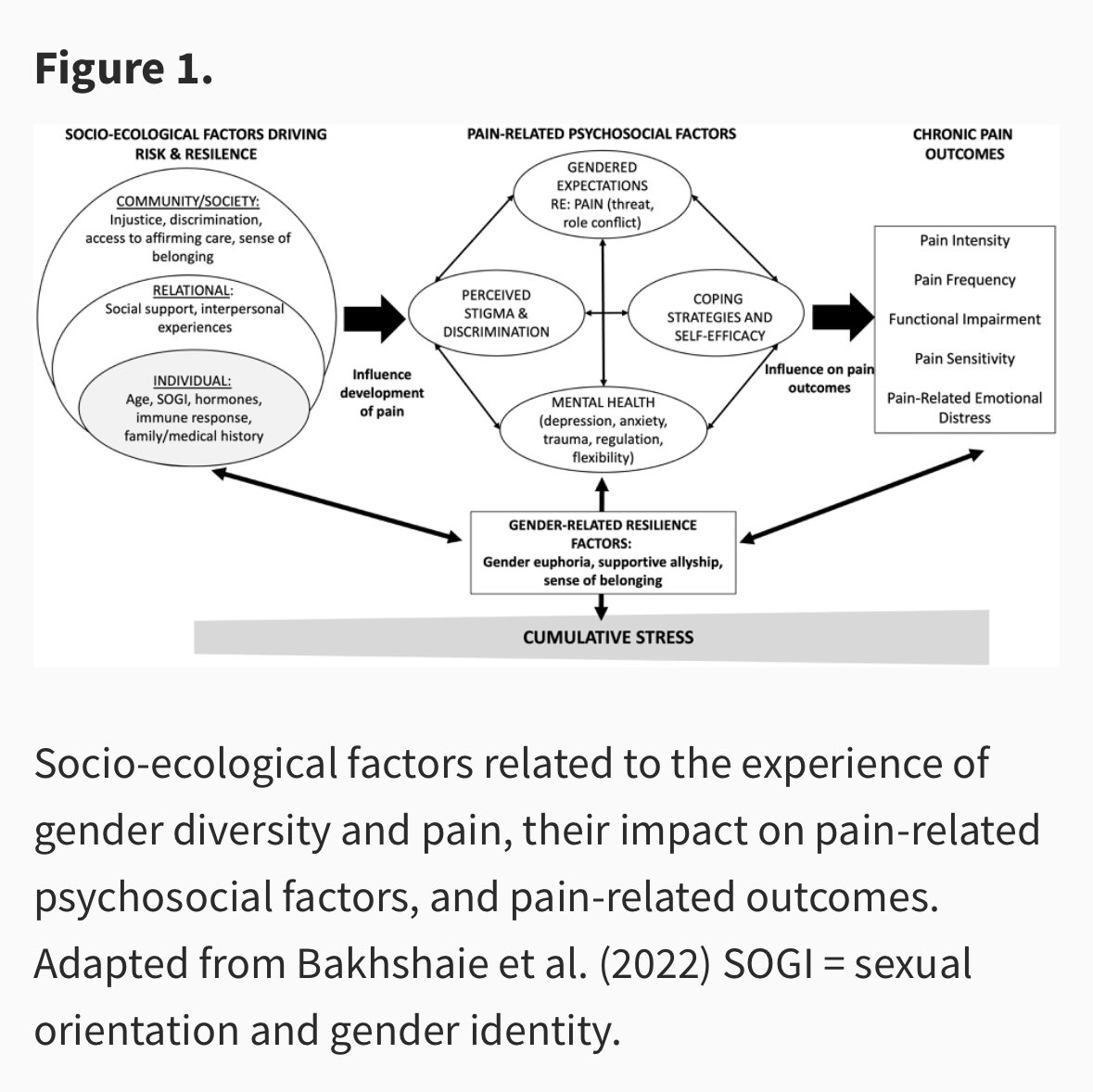 Dr. Lauren Harrison tweet media