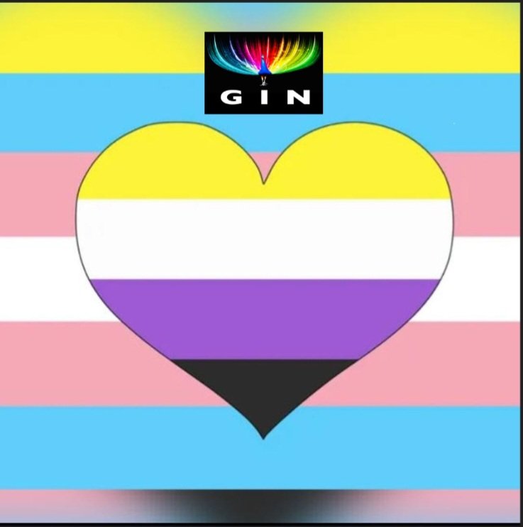 GIN trans+ heart circle GIN LGBTQIA Indian & South Asian Network are delighted to announce that we have set up a new group especially to provide a safe and welcoming monthly online space to support all of our trans, nonbinary, genderqueer & gender nonconforming members. A…