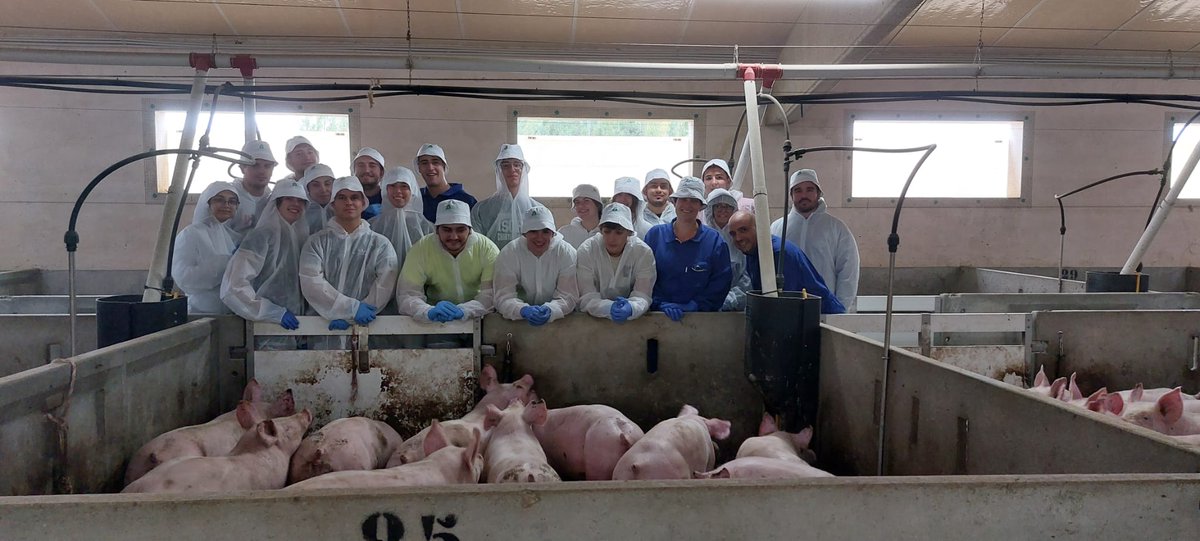 MartaLlorente82's tweet photo. Hoy ha sido un día diferente en esta casa. Espero que os haya gustado la experiencia @GIAMRUBU y que muchos de esos estudiantes se animen al relevo generacional de nuestro #sectorprimario.
#vidacochina #loestamoshaciendobien #transparentesnoinvisibles https://t.co/7xWyvUuxDS
