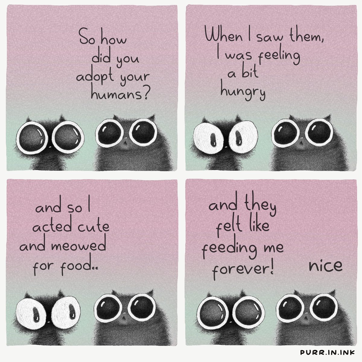 Happy national black cat day 🐈‍⬛🖤