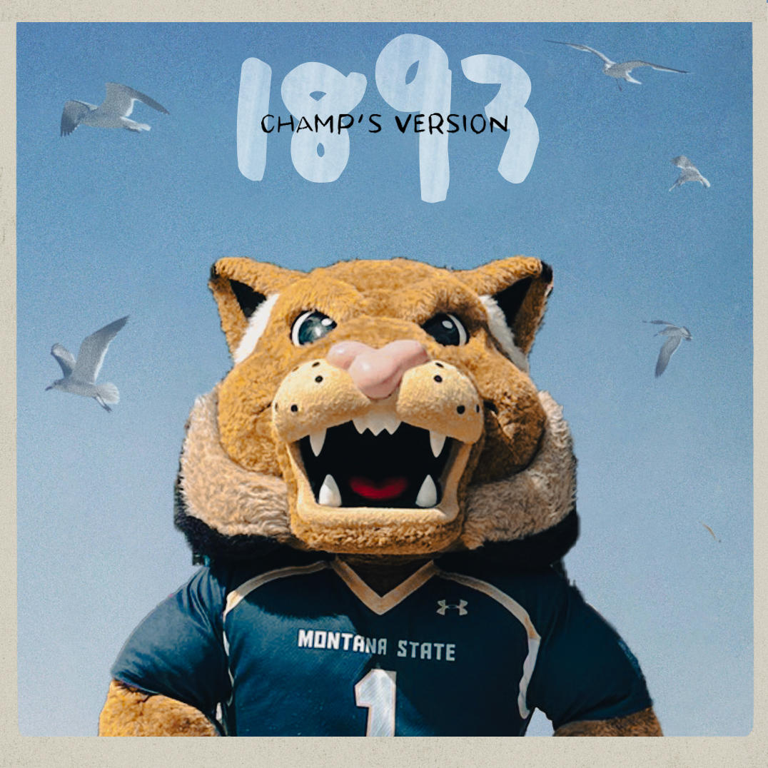 mtstatealumni tweet media