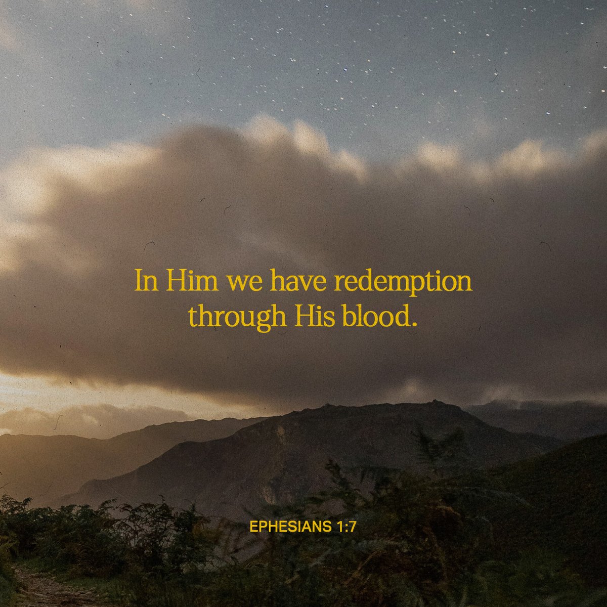 YouVersion Bible App tweet media