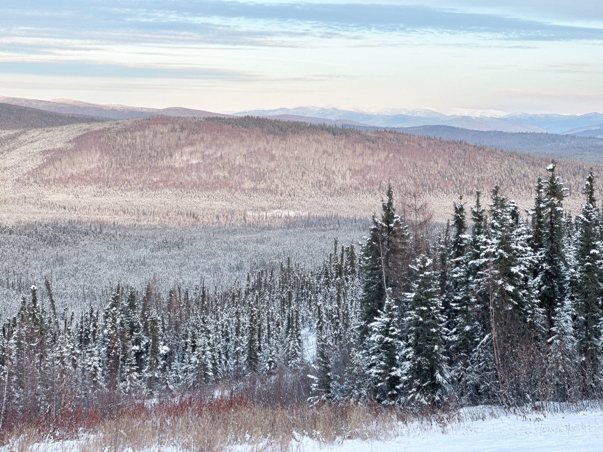 安迈云一案对社会最大的价值，就是把一个讳莫如深的话题“骗子是如何与被骗官员合谋猎杀企业”的细节公诸于众了。谁给了他们伪造案件的执法权？

我和公司不少高管都亲耳听周鹏吹嘘过任诗磊是在国母家长大，据说其和彭家关系就像干儿子一样。后来一了解，人家国母家根本不认识，就他妈一骗子。