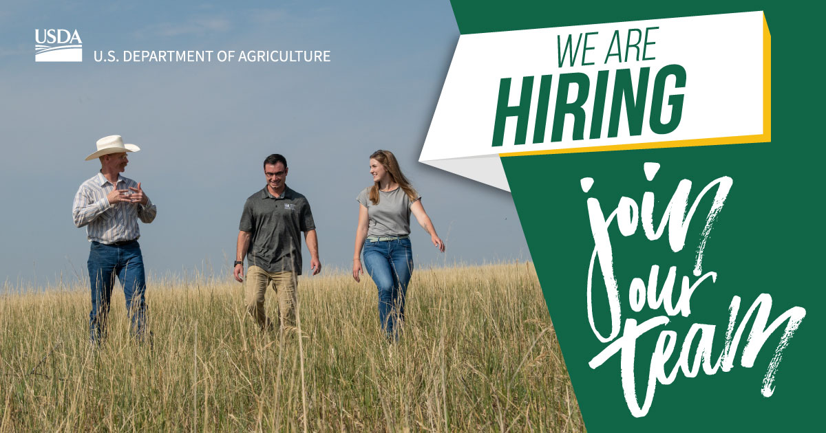 Plant your career at @USDA! We currently have many open positions for current students and recent graduates with deadlines approaching. Learn more about the requirements and apply today: bit.ly/3QhB3zr