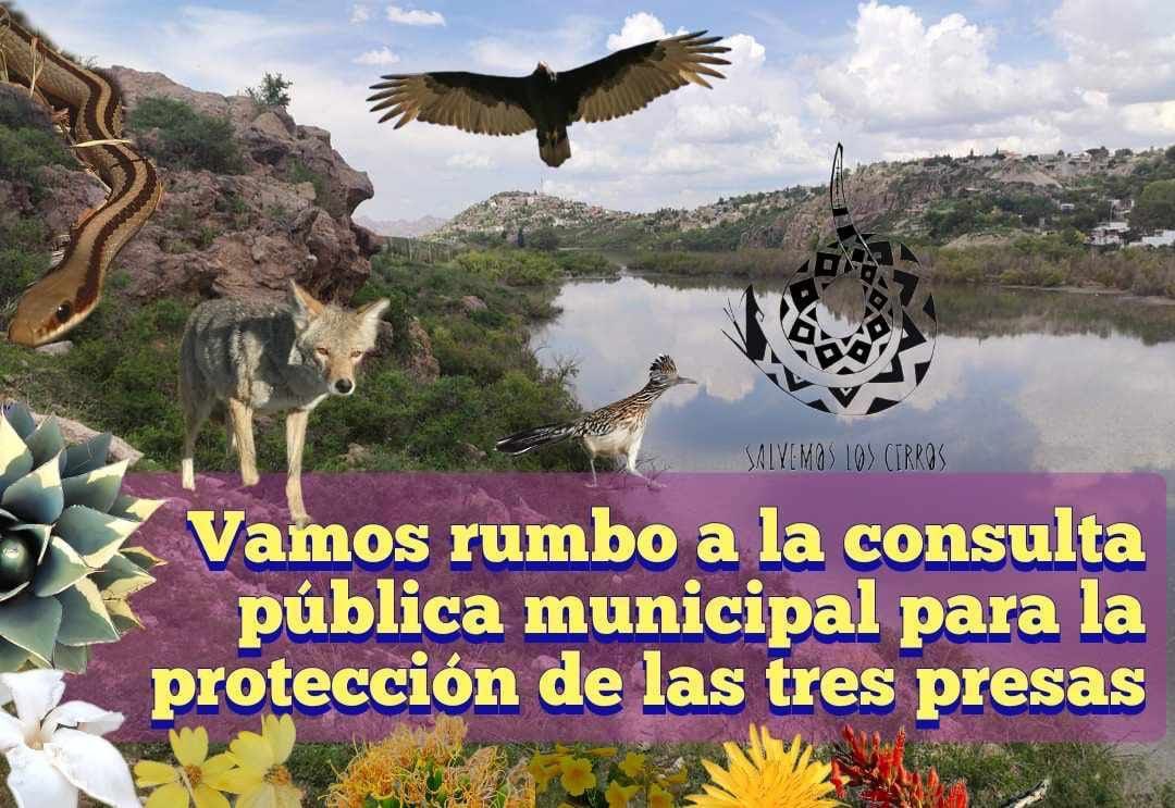 Arewakawi's tweet photo. El desarrollo urbano de Chihuahua está muy lejano de los derechos de las personas, fauna y flora, entonces muy lejana de dignificar la vida. 

Buscamos por eso la declaración de Área Natural Protegida #parque3presas, vota 🗳️ y protegé para biodiversidad urbana de Chihuahua. https://t.co/dyTubF1g3r