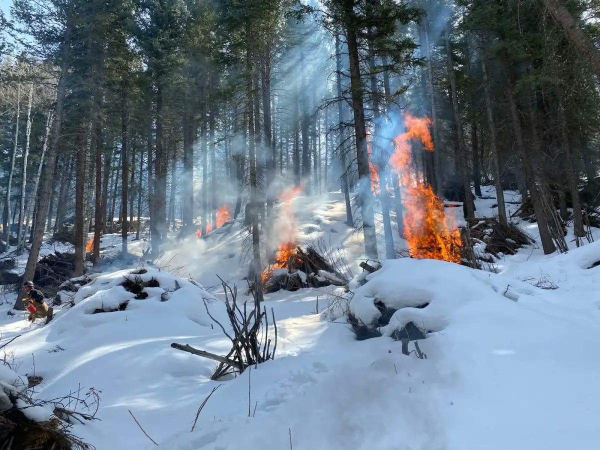 For Immediate Release: Shoshone National Forest Plans Pile Burning Operations
For a more in depth list of locations please follow the link.
fs.usda.gov/news/shoshone/…