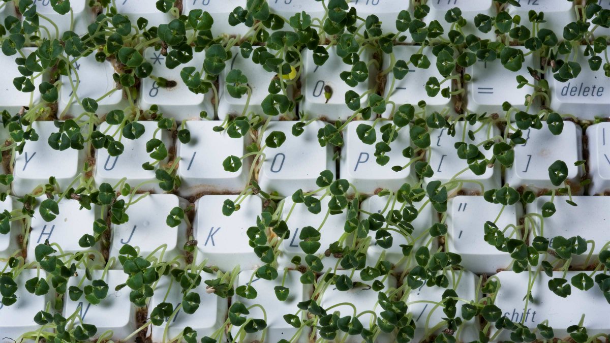 kathe_ali's tweet photo. The Opportunities at the Intersection of AI, Sustainability, and Project Management https://t.co/PcalyVFYQp https://t.co/rJwlit7F9j