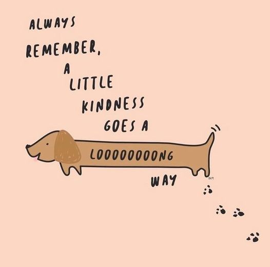 A Little Kindness Goes A LONG Way!!  #EarthAngel  #EarthAngelCode #AnyoneCanBeAnEarthAngel #Dachshund #Kind #BeKind #ServingOthers #SimpleActsOfKindness #DailyGoodDeeds