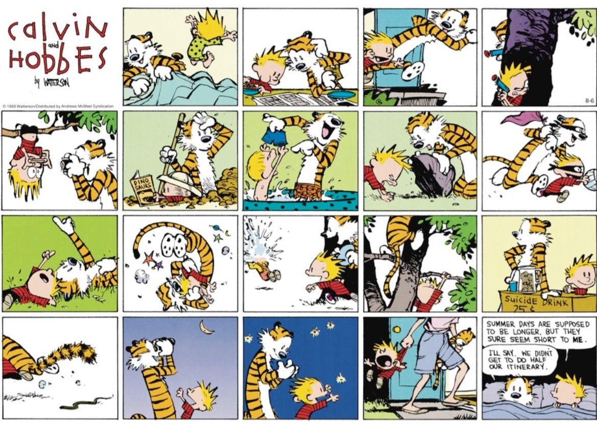 #CalvinandHobbes