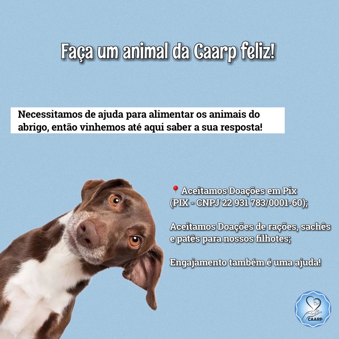 CAARP tweet media