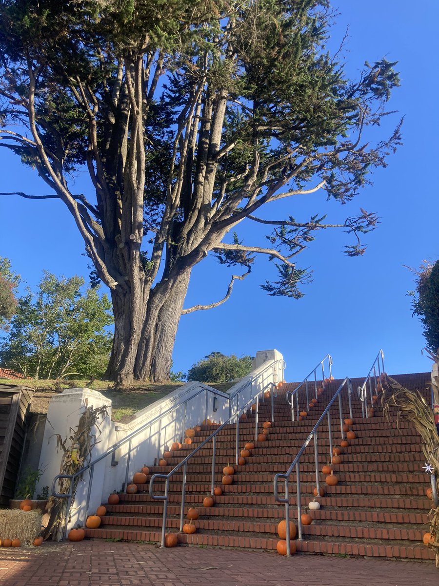 thewongways's tweet photo. Big thank you to the West Portal Patents Club for volunteering and putting this wonderful event together for the @WPE_SF community and families. #WPPC #Halloweekend https://t.co/sNo1QE5HkD