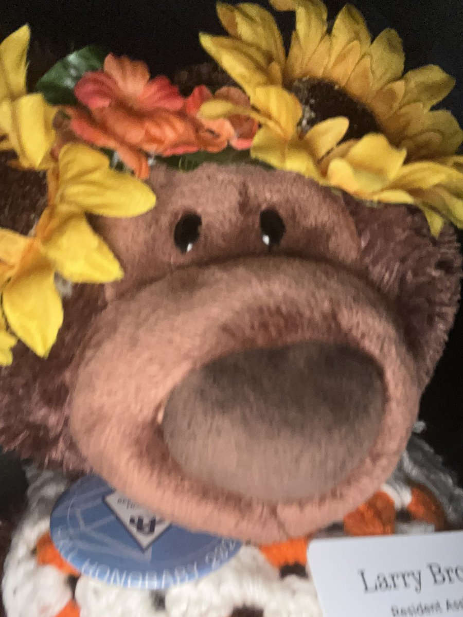 Felt cute — might delete later <a href="/SAACURH/">SAACURH</a> <a href="/nrhh_utk/">NRHH UTK</a>