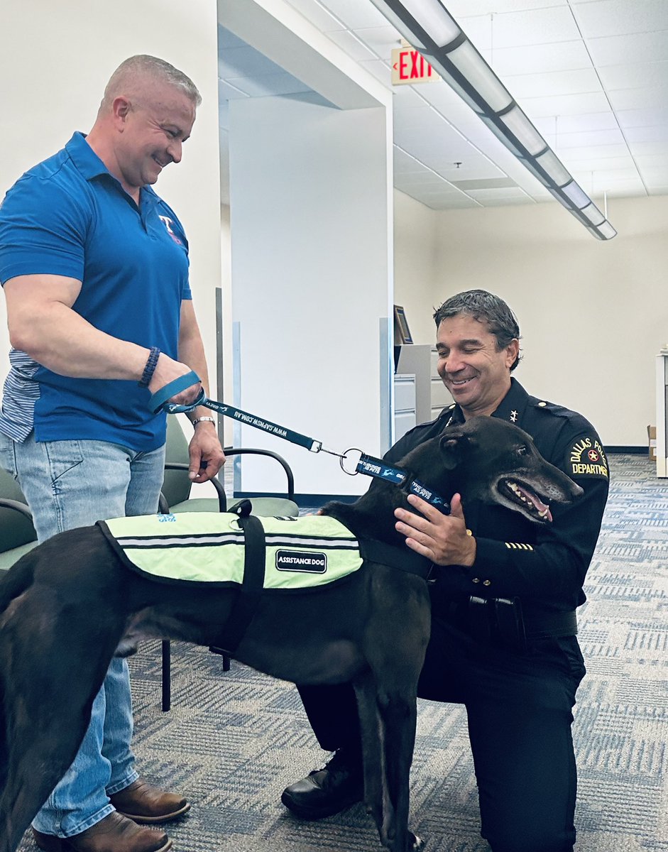 ato_divide's tweet image. We are happy to be selected to be a pilot for the Aussie Mates in the States. PTSD therapy trained greyhounds for first responders. Meet Austin 💙@dpdwellness @DPDRRamirez @ATODallas  #greyhounds #MentalHealthAwareness #mentalhealth