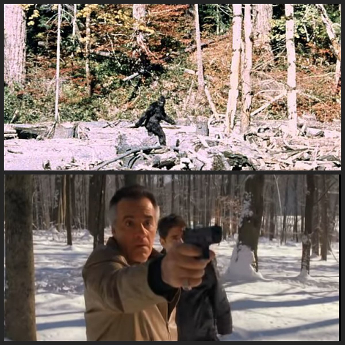 LuckilyCryptids's tweet image. 