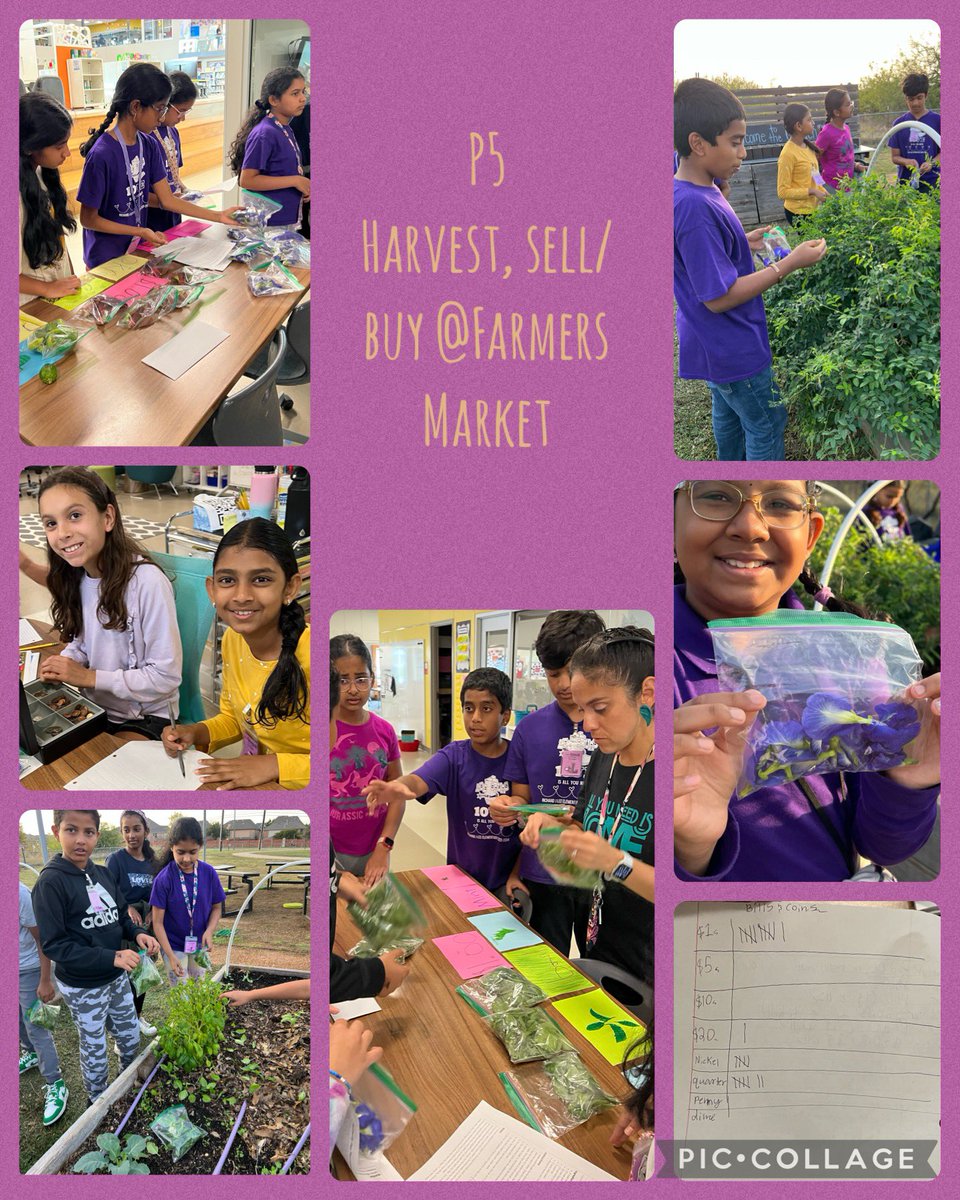 R4, G2B, &amp; P5 participated in the Farmers Market in STEAM, doing the different roles. The total sale was $47.81. Science, math, art, and business lesson in the real world! 🥬🎨💵
 <a href="/RJLSTEAMLab/">Mrs. Shaner</a> <a href="/NetZeroLee/">Richard J. Lee Elementary</a> <a href="/CISDNutrition/">Coppell ISD Child Nutrition</a> <a href="/CISDFarmerLarry/">Farmer Larry</a>