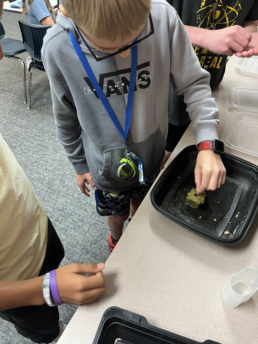 Jalayne Bacon tweet media