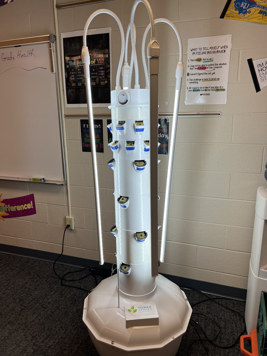 Jalayne Bacon tweet media