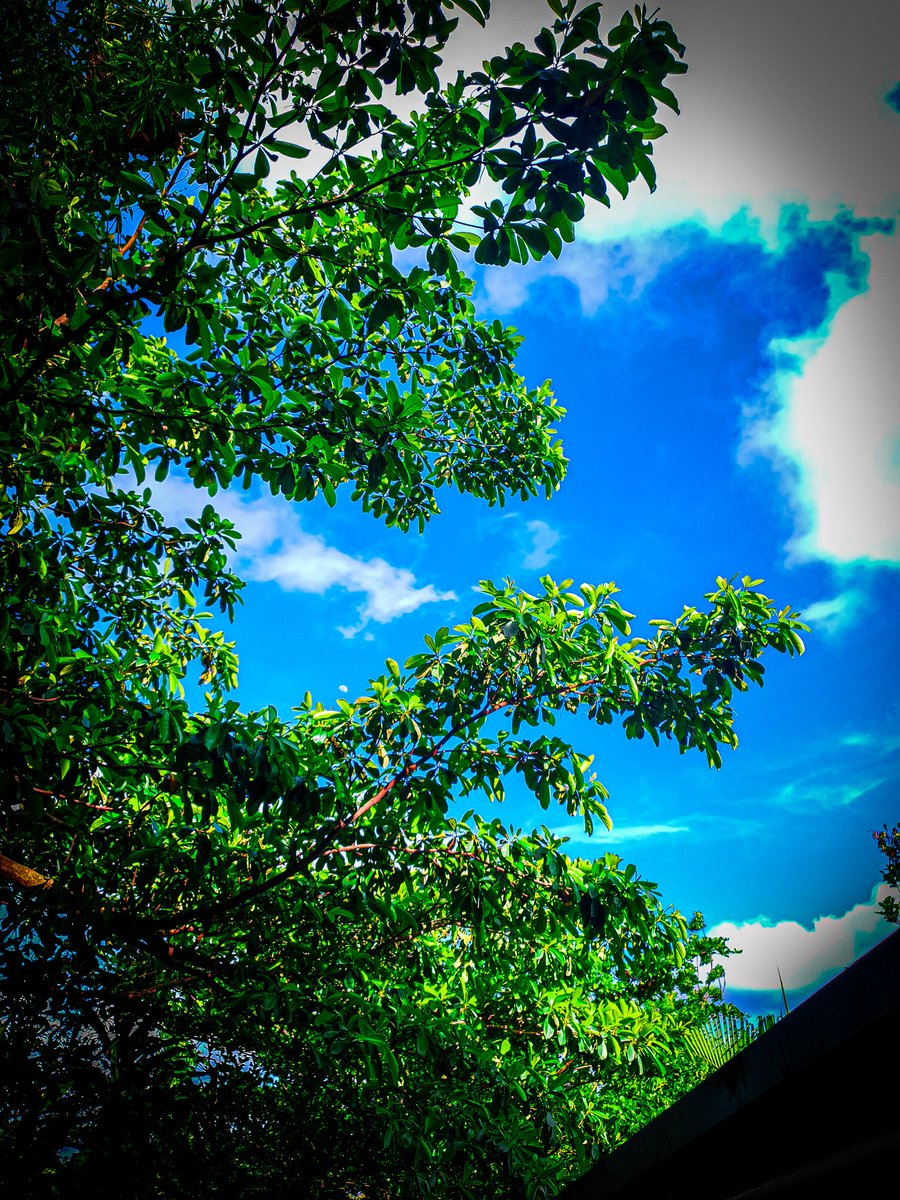 KjnrMondo's tweet photo. Samsung Galaxy + Lightroom 📸👌 https://t.co/MaIRSgjAJT