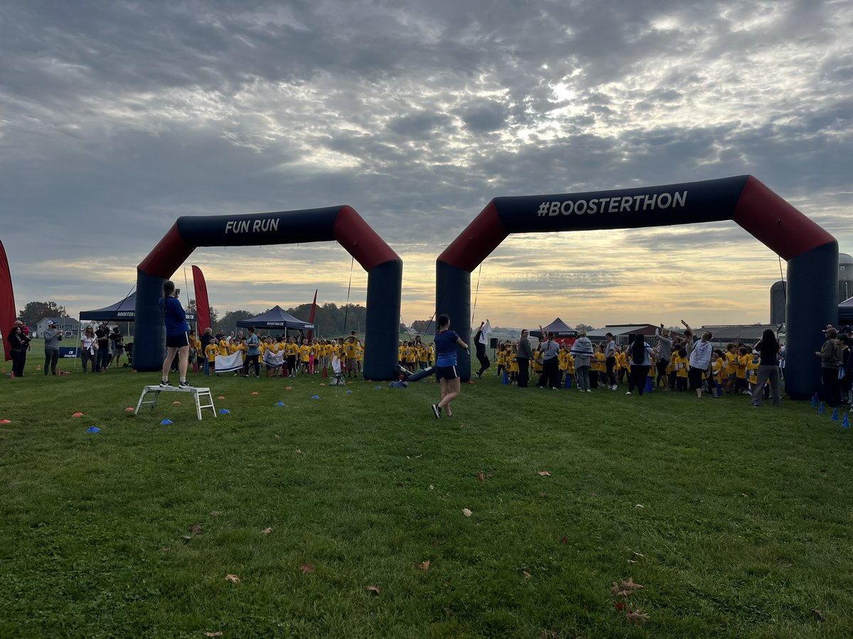 Lisa Suydam tweet media