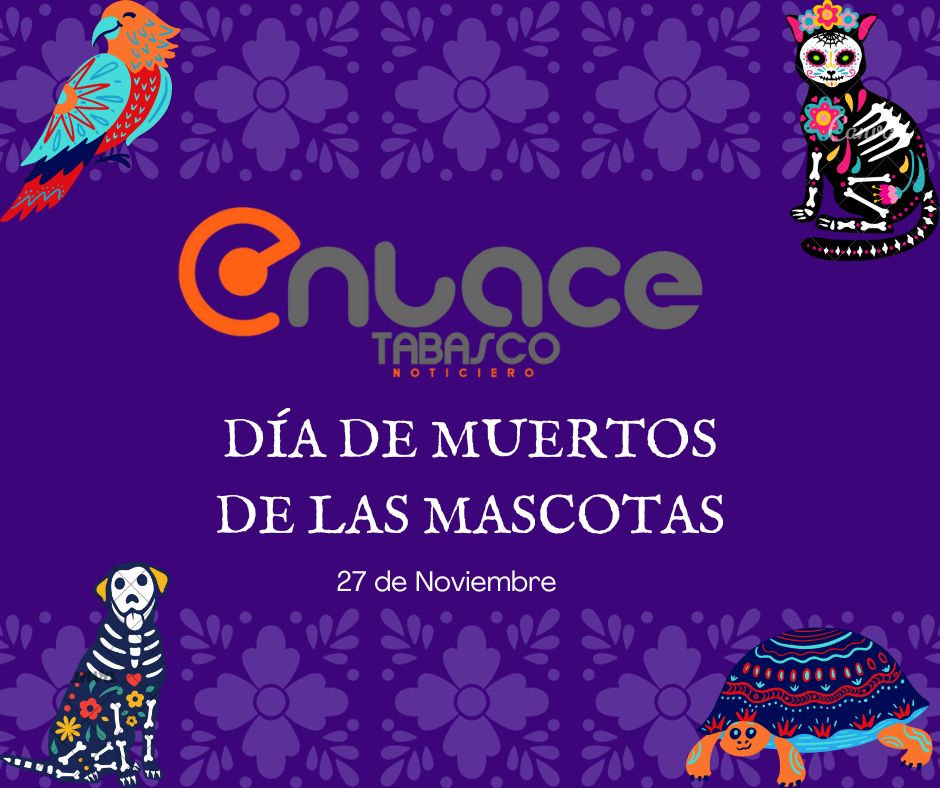 enlace_tabasco's tweet photo. #DiaDeMuertosDeMascotas 🐈🐕 | Por tradición, cada 27 de octubre, las almas de los perritos, gatitos u otros animales regresan a visitar a sus antiguos hogares para poder descansar.
y tú, ¿ya pusiste tu ofrenda para tu mascota? ¡Muestranos!📸
#Enlacetabasco https://t.co/8GsDtFXer5