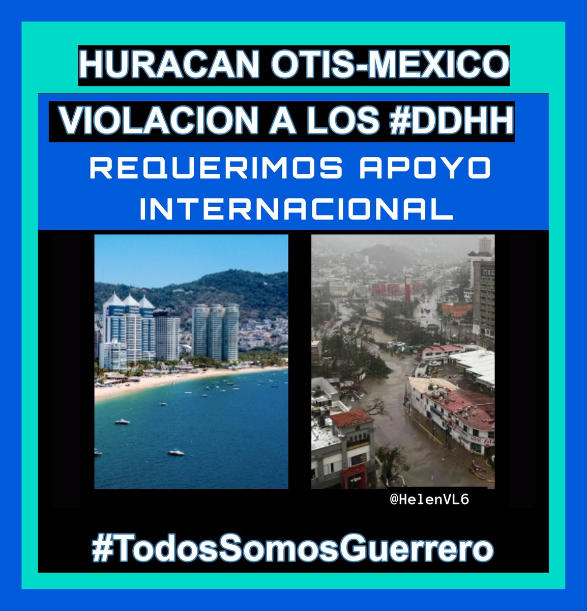 Helen VL tweet media