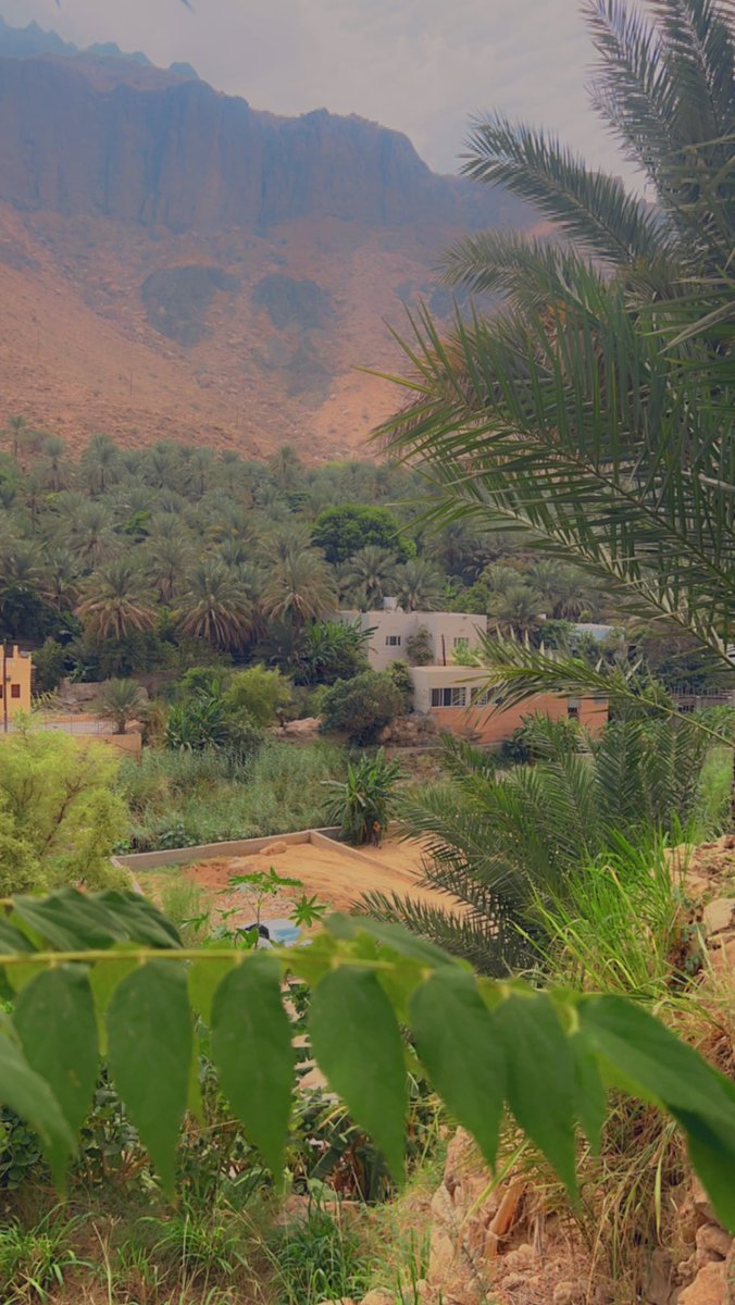 🩵🩵 ٱشخاص فقدنآهم ، واشخاص نسونآ ، واشخاص تغيرت أطباعهم ، واشخاص مآا زالوا كمآا هم ، ف يآربَ أسّعد من بقى ، واحفظ منَ رحل ، وارحم من مات..💔💔