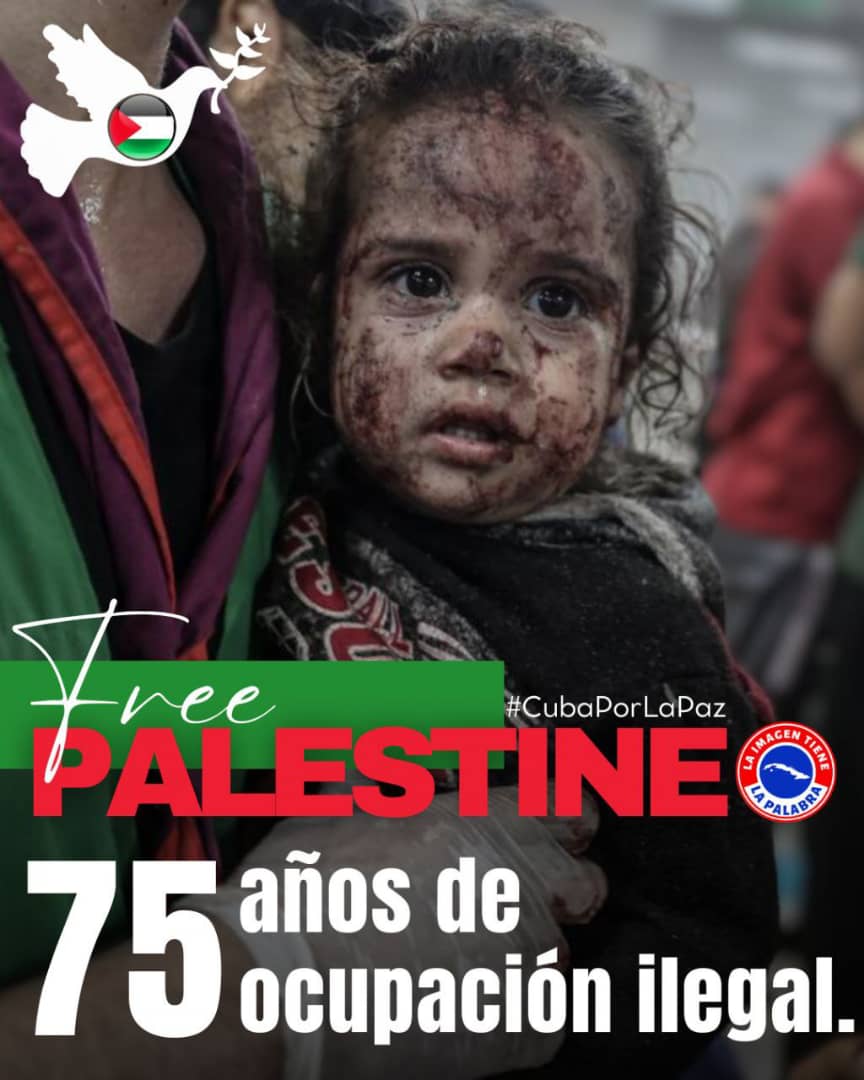 Bombas contra inocentes, contra mujeres, contra niños, bombas contra dignidad, contra amor por su tierra, contra identidad, contra valor, contra moral, si, genocidio, no tiene otra definición, solo resta esperar que entren por tierra, ahí veremos. #FreePalestine #LaSierpe