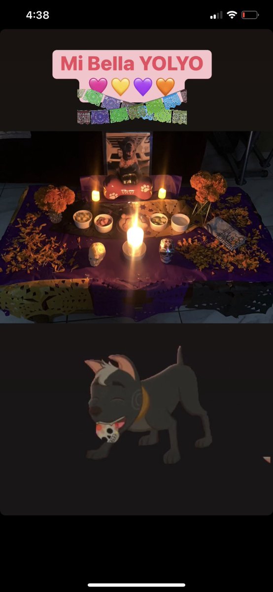 Ruszya's tweet photo. #YOLYO 🩷💜🕯️🐕 https://t.co/cuWBDYefFP