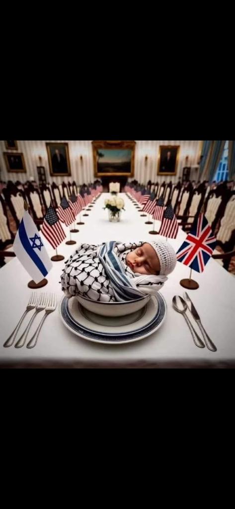 halimnicedirr's tweet photo. Gazzede elektrik yok, su yok, iletişim yok, yiyecek içecek yok . Apaçık soykırım var. Müslümanlar vahşice şehit ediliyor. #StopIsrael #Gaza_Genocide #starlinkforgaza https://t.co/6rM842fgYH