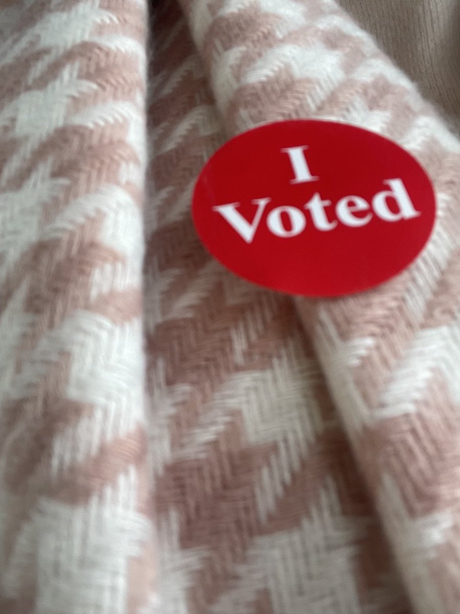 AmyEichMN's tweet photo. Had a minute to stop in and vote early. Fast and easy. Friendly helpers. Make a plan to vote on or before Nov 7! https://t.co/FHYOgt7NLN