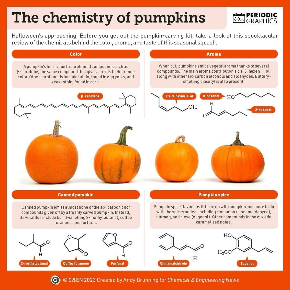 TGAS_Science's tweet image. It's #NationalPumpkinDay! Before you get carving, here's why pumpkins are orange, the compounds behind their vegetal smell, and more in C&amp;amp;EN: cen.acs.org/articles/93/i4… #TeamTG