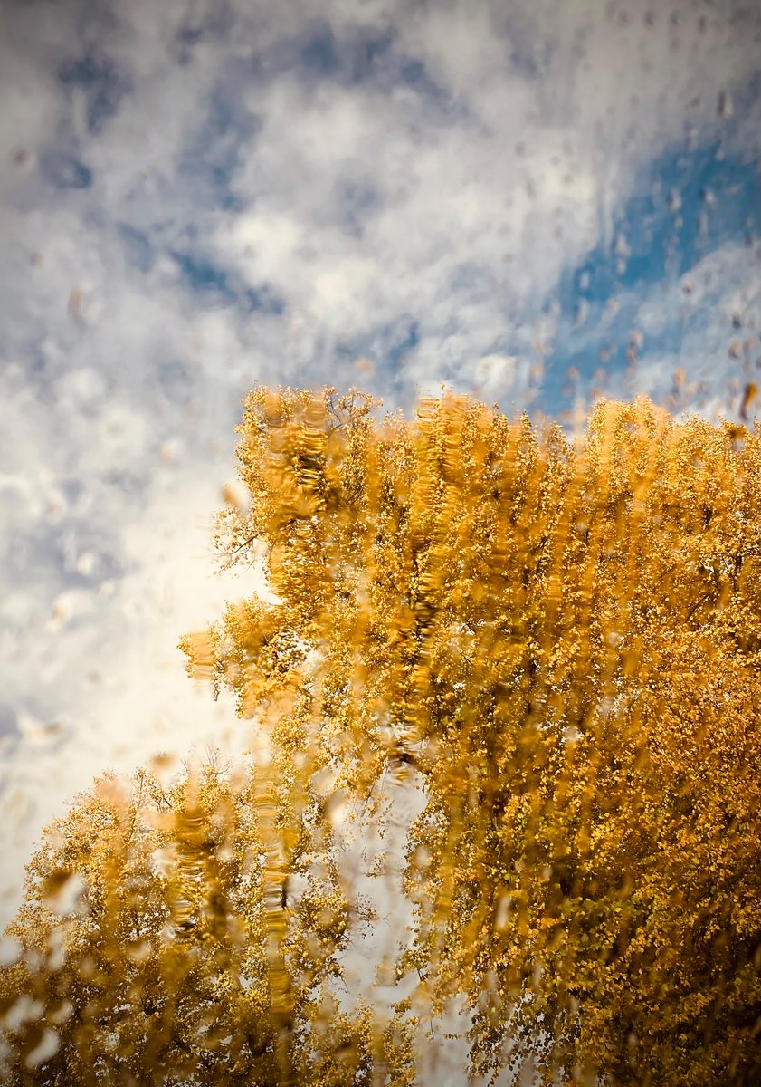 #JedeWocheEinFoto
KW 43/23 Die Farben des (regnerischen) Herbstes