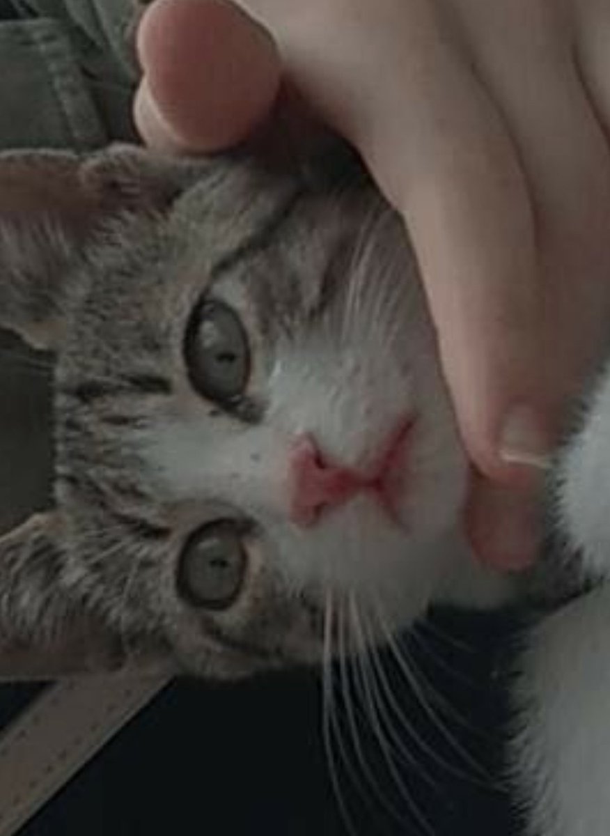 كي تنجح في الحياة تحتاج أمرين 
 الثقة ، التجاهل …