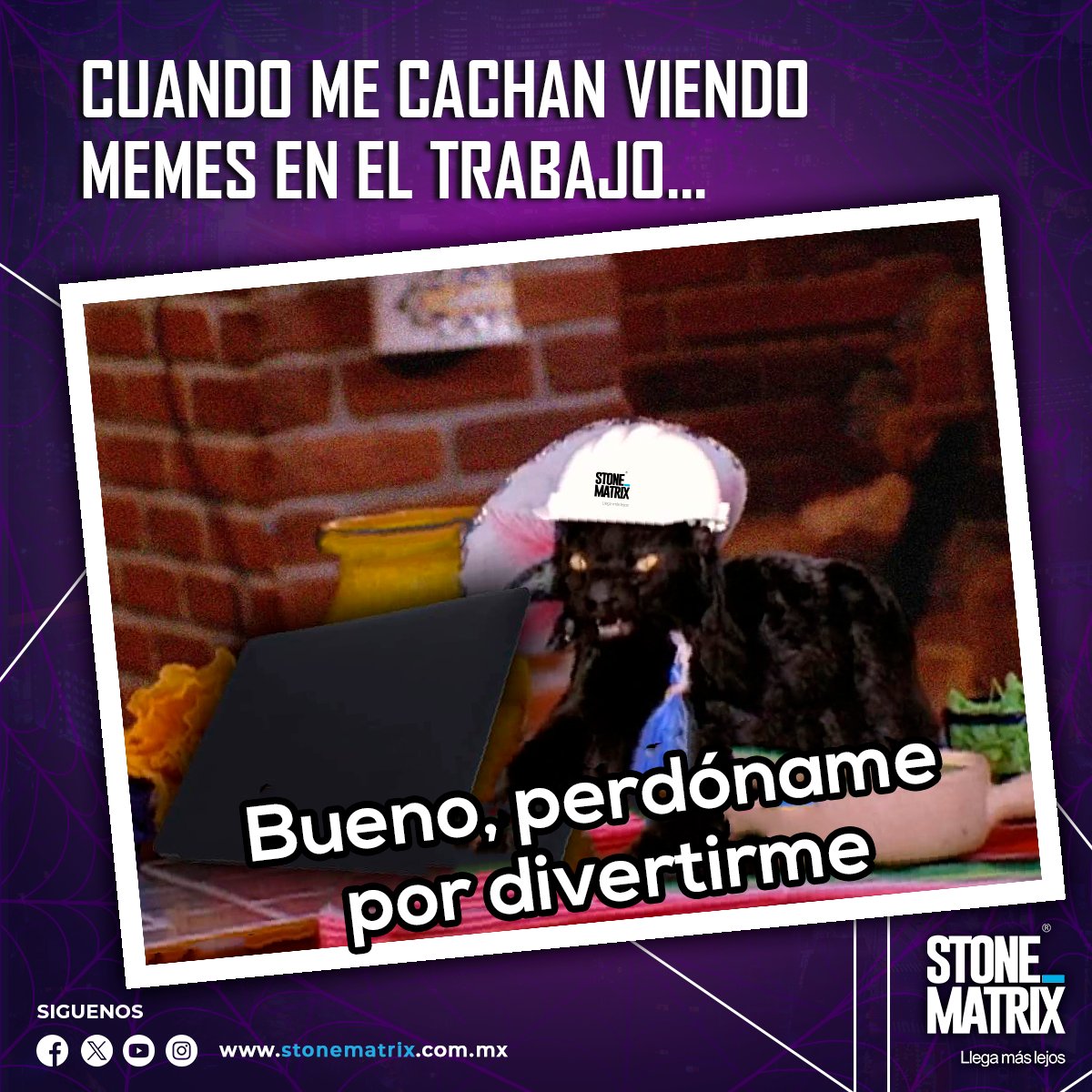 StoneMatrixMx's tweet photo. Pues perdón..... Viernes de estar viendo memes... #halowwen #StoneMatrix #LlegaMasLejos https://t.co/if5lq1Qti2