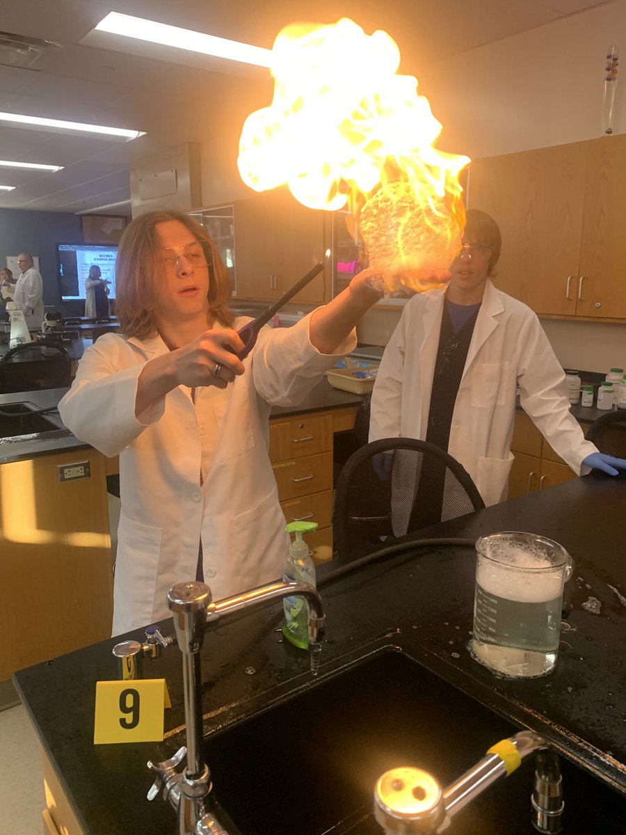 Dr. Mara L. Banfield tweet media