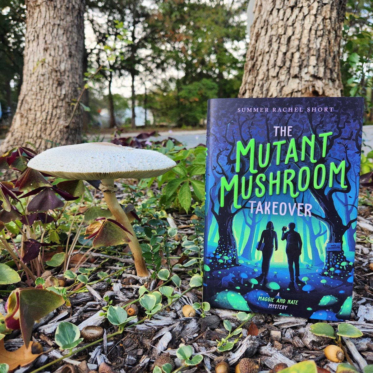 Yesterday, this mushroom was half the size it is today. Could it be a nefarious mutant mushroom plotting to take over a small Texas town? 🍄🕵‍♀️ Only time will tell...