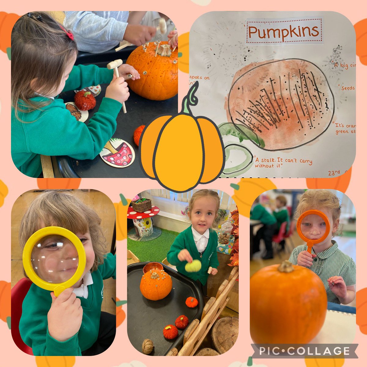 cwp_early_years's tweet photo. Lots of pumpkin fun in Nursery!  We have been hammering into pumpkins, painting pumpkins, doing observational drawings of pumpkins, and measuring pumpkins too! 

A perfect pumpkin week! 🎃 https://t.co/OIxoxbGvJl