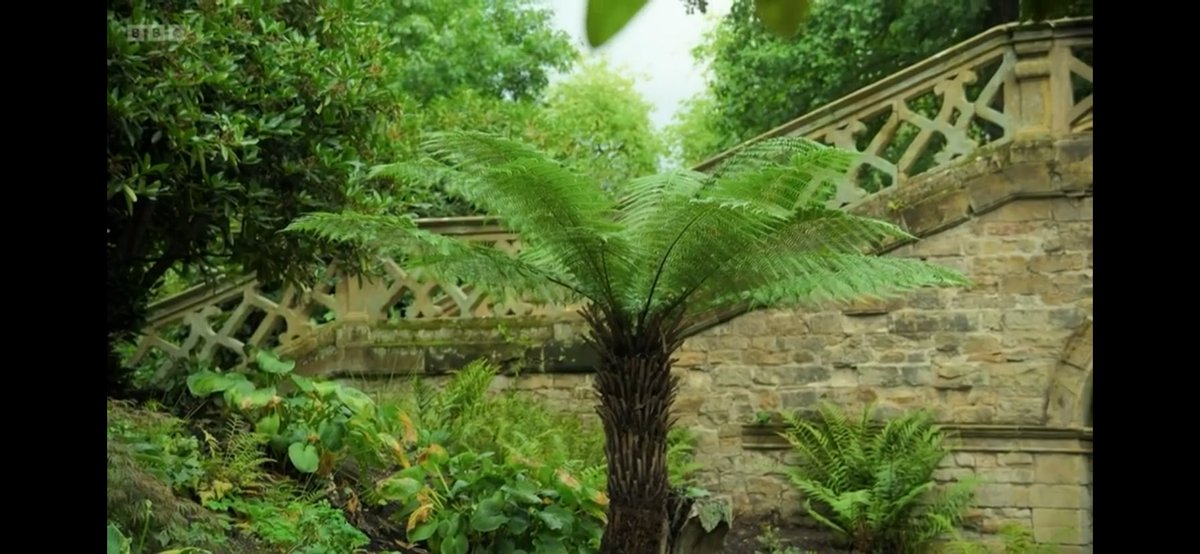 FMLdizzyAF's tweet image. Hever Castle looks absolutely beautiful #GardenersWorld