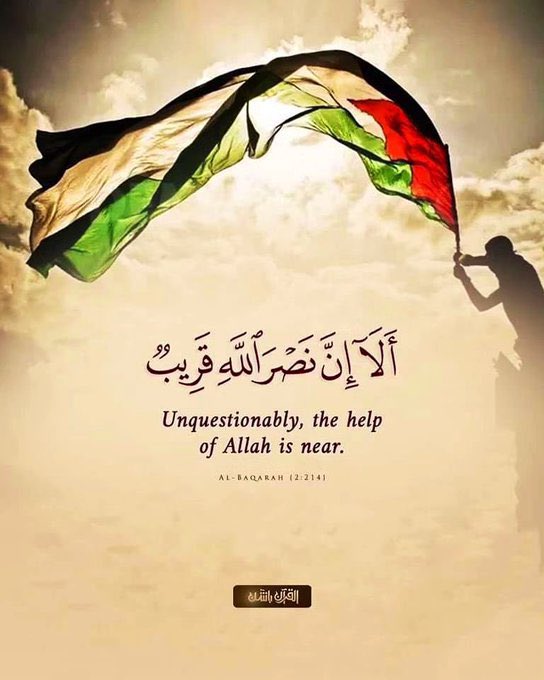 #غزة #غزه_تقاوم