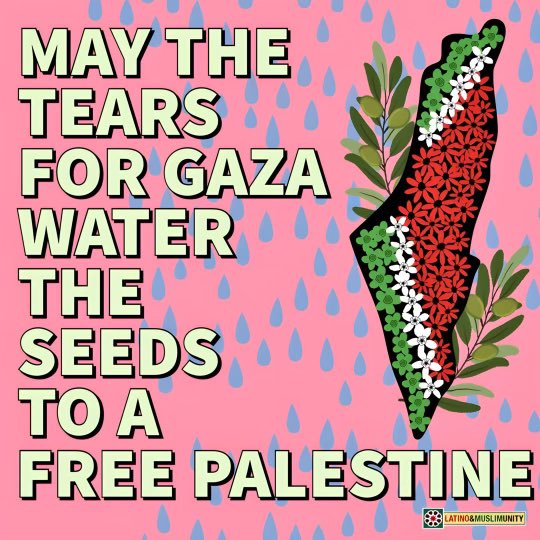 ¡Viva Palestina! Long Live Palestine! RISE UP! Now more than ever WE NEED YOU to Call your member of Congress and DEMAND an immediate CEASEFIRE & access to HUMANITARIAN AID! #FreePalestine #ceasefire #humanity #endtheoccupation #ceasefire #stopgenocide #riseup @CommunityUnity