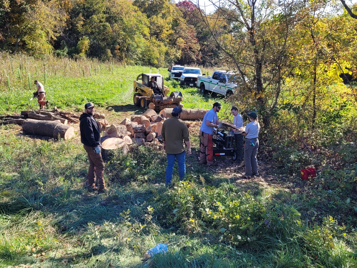 MarylandDNR's tweet photo. Maryland Forest Service & @MDStateParks staff worked together this week. Two large trees fell in a young tree area at Monocacy NRMA. The trees were cut into logs for #firewood. After splitting the wood, it was delivered to two deserving households in Frederick County. #daytoserve https://t.co/vYVbPGvyZn