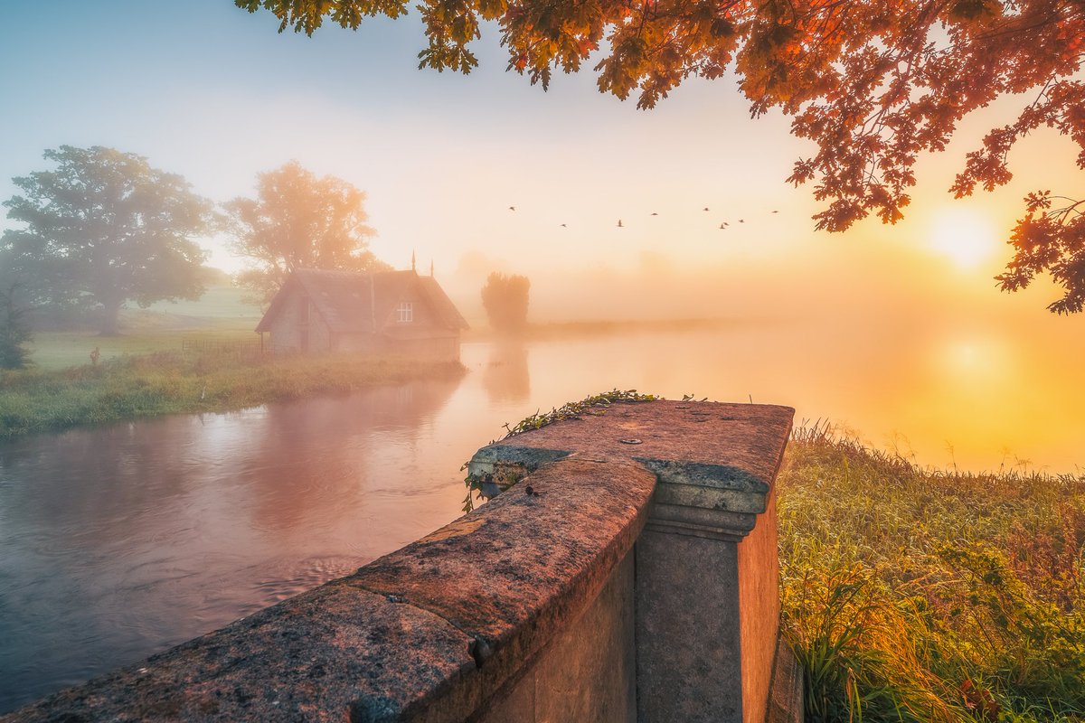 DeclanMalachy's tweet photo. Autumn morning landscapes of Kildare #autumn #AutumnVibes #kildare #ireland #landscape @Failte_Ireland https://t.co/w7G5tUOwxB