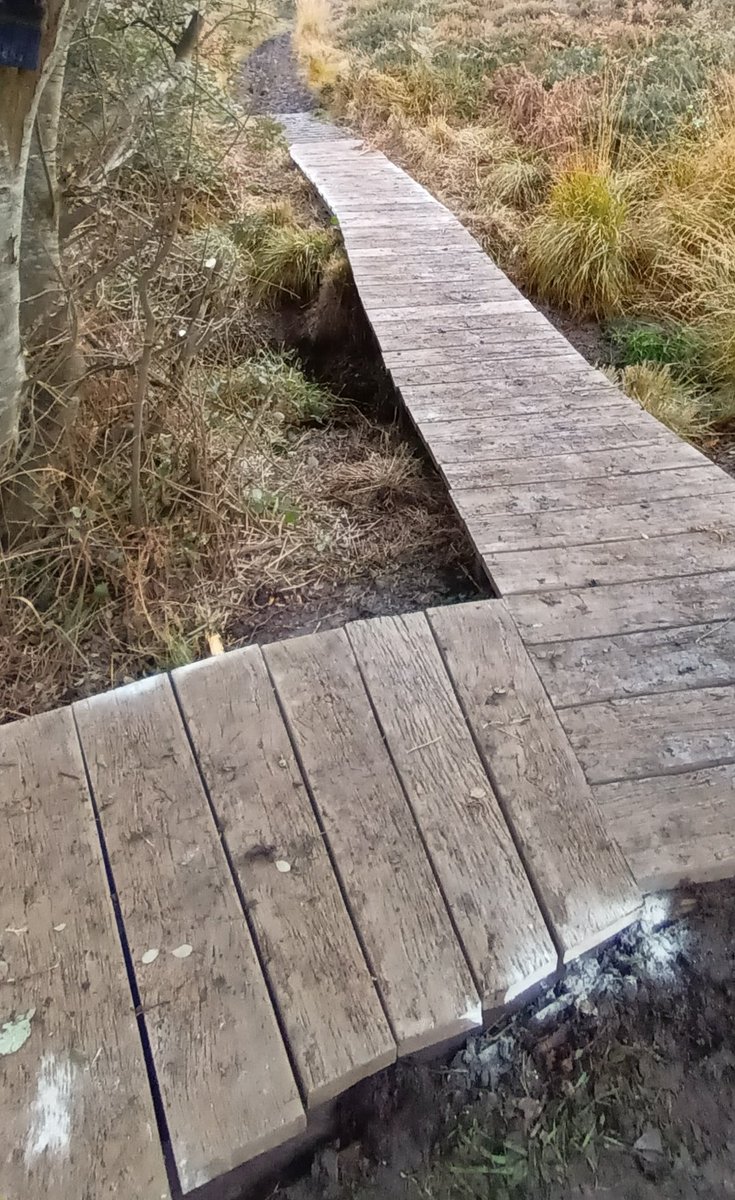 Rain had stopped play for 3 weeks, but the Silver Slashers were out today replacing boardwalks between Port Amlwch and Llanelian. All materials and tools had to be carried over 300m of muddy, steep, narrow, slippery coastal path. #Anglesey #WalesCoastalPath #Cymru