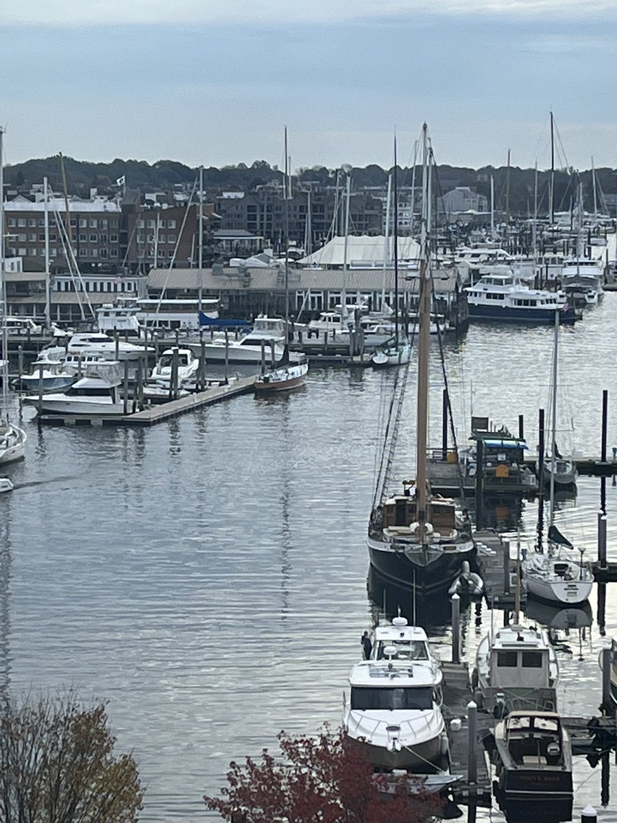 jodyjonesDV's tweet photo. Attending the ACOG DV meeting in Newport, great meeting with our advisory Council and Scientific Session off to a great start! @ACOGDistrict5 
#ACOGNewport https://t.co/kCBqwIX4ec