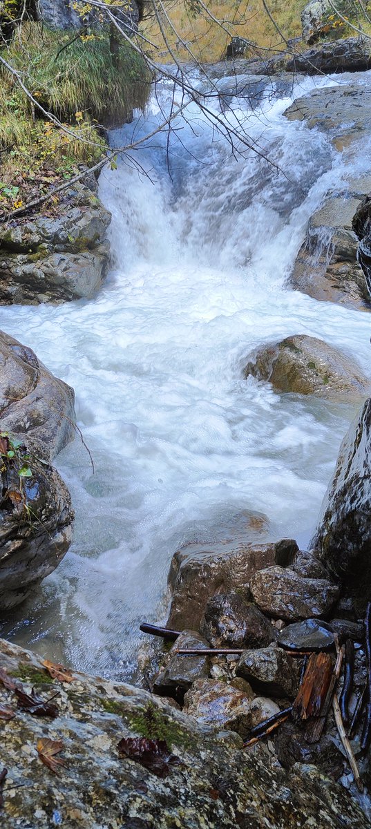 galloforcello2's tweet photo. Stesso soggetto, tecniche fotografiche diverse. #torrente #grisol Val del Grisol de dentro #soffranco #belluno #longarone #27ottobre2023 https://t.co/VJ27sPb4Rv