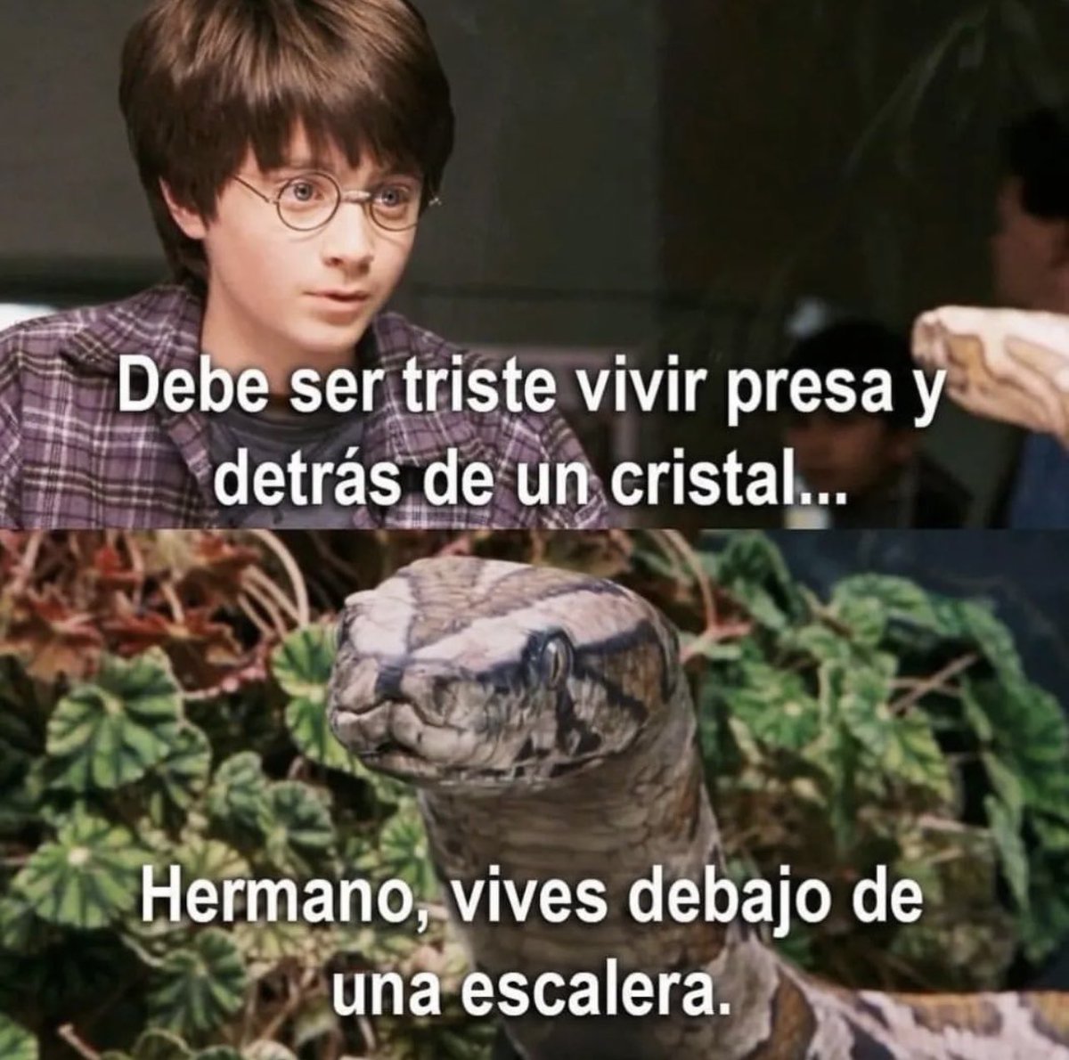 yisucrist's tweet photo. no recordaba esta escena https://t.co/HtzqyLytPo