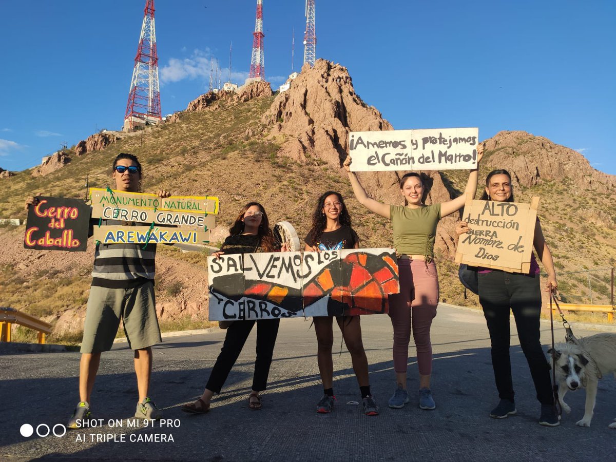 Arewakawi's tweet photo. Agradecemos al @TecdeMonterrey por  abrir la oportunidad de que las/los alumnes hagan servicio social y educación ambiental con nosotras en Chihuahua 🎉🏔️ #SalvemosLosCerros https://t.co/SLjH6ZRE2f